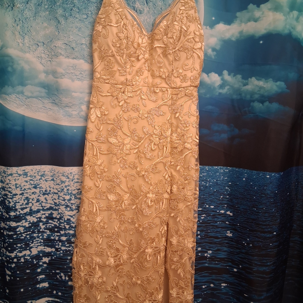 Emerald Sundae Beige Embroidered Wedding Dress